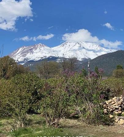 Angel Cottage With A Sauna Or The Cozy With A Jacuzzi Tub, Both Are Studios With A View Of Mount Shasta Kültér fotó