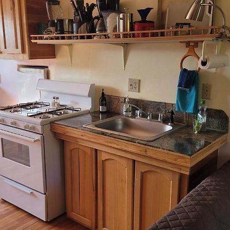 Angel Cottage With A Sauna Or The Cozy With A Jacuzzi Tub, Both Are Studios With A View Of Mount Shasta Kültér fotó