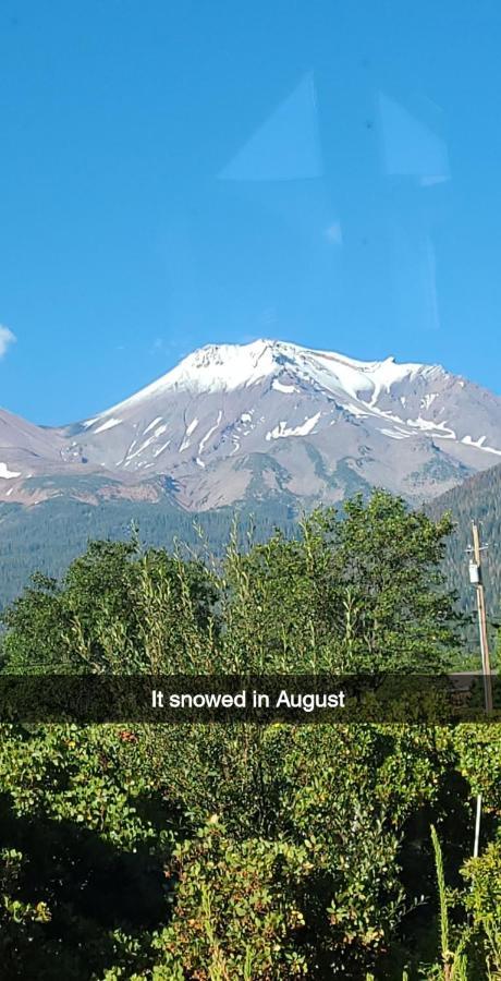 Angel Cottage With A Sauna Or The Cozy With A Jacuzzi Tub, Both Are Studios With A View Of Mount Shasta Kültér fotó