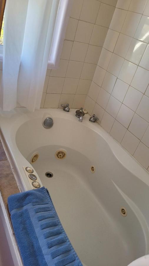 Angel Cottage With A Sauna Or The Cozy With A Jacuzzi Tub, Both Are Studios With A View Of Mount Shasta Kültér fotó