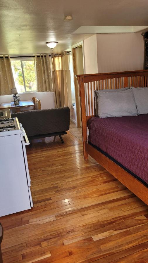 Angel Cottage With A Sauna Or The Cozy With A Jacuzzi Tub, Both Are Studios With A View Of Mount Shasta Kültér fotó